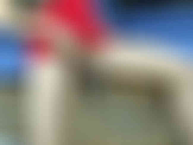 lilly lil Porno Video: Kleine Pausenhofgeschäfte