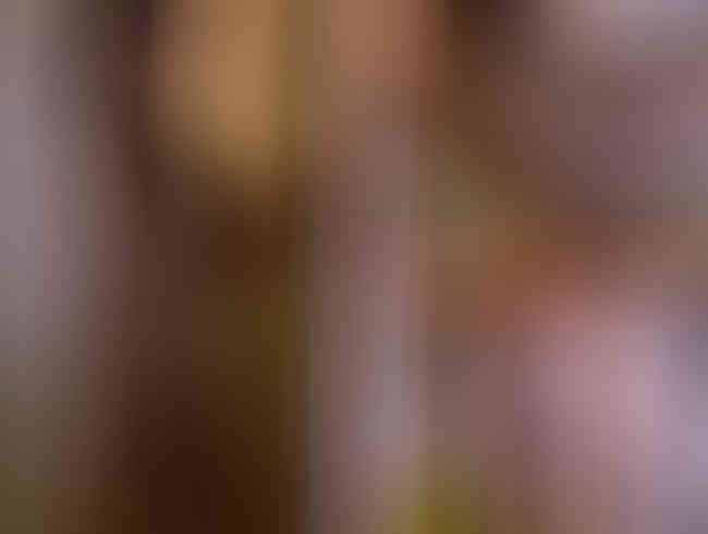 lilly lil Porno Video: Perverser bespannt mich unter der Dusche beim fingern