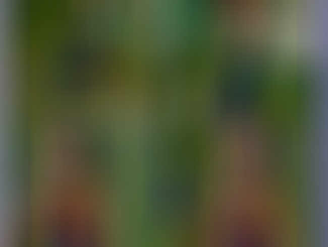 lilly lil Porno Video: SPANNER im Radkeller ABGEBLASEN POV