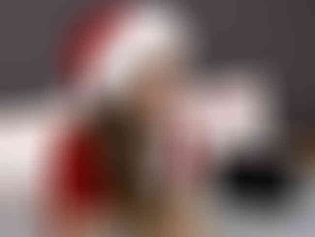 lilly lil Porno Video: Zum 4. Advent Dildo in der Pussy ganz versenkt